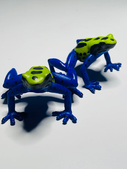3D Printed Frog Large Dendrobates tinctorius “Alanis”