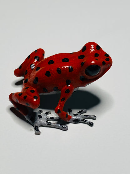 3D Printed Frog Medium Oophaga pumilio “Bastimentos” gray feet and belly