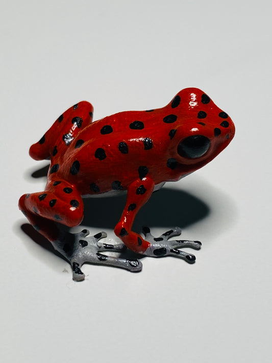 3D Printed Frog Medium Oophaga pumilio “Bastimentos” gray feet and belly