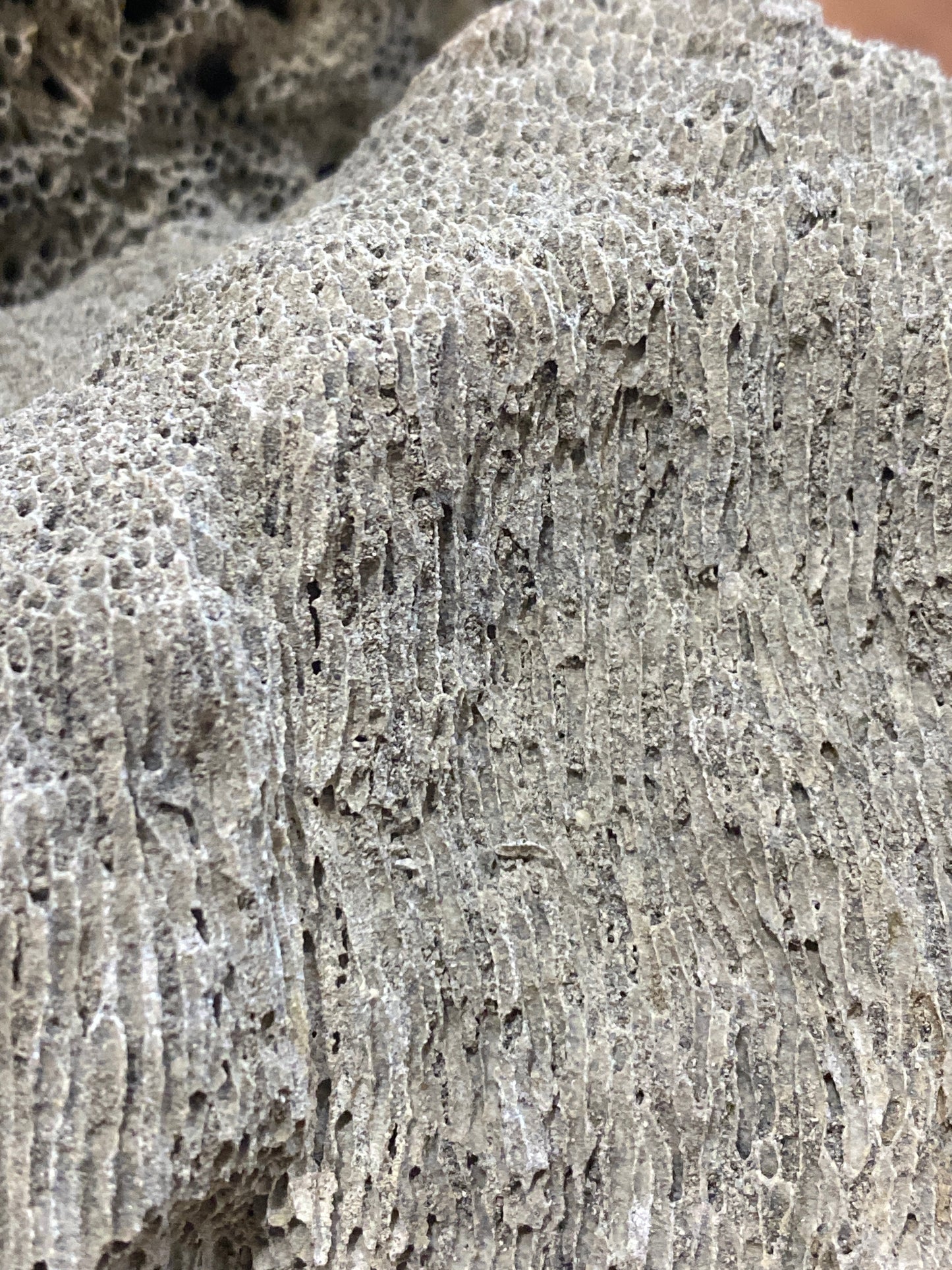 Gray Pumice Rock Hardscape