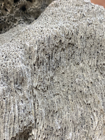 Gray Pumice Rock Hardscape