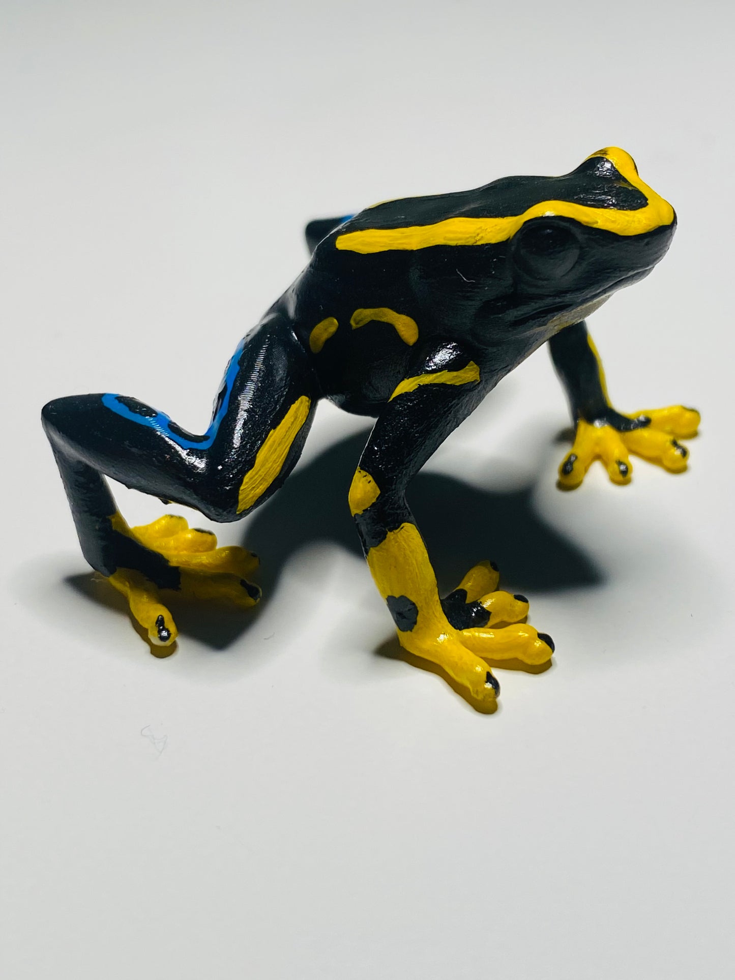 3D Printed Frog Large Dendrobates tinctorius “Alanis”