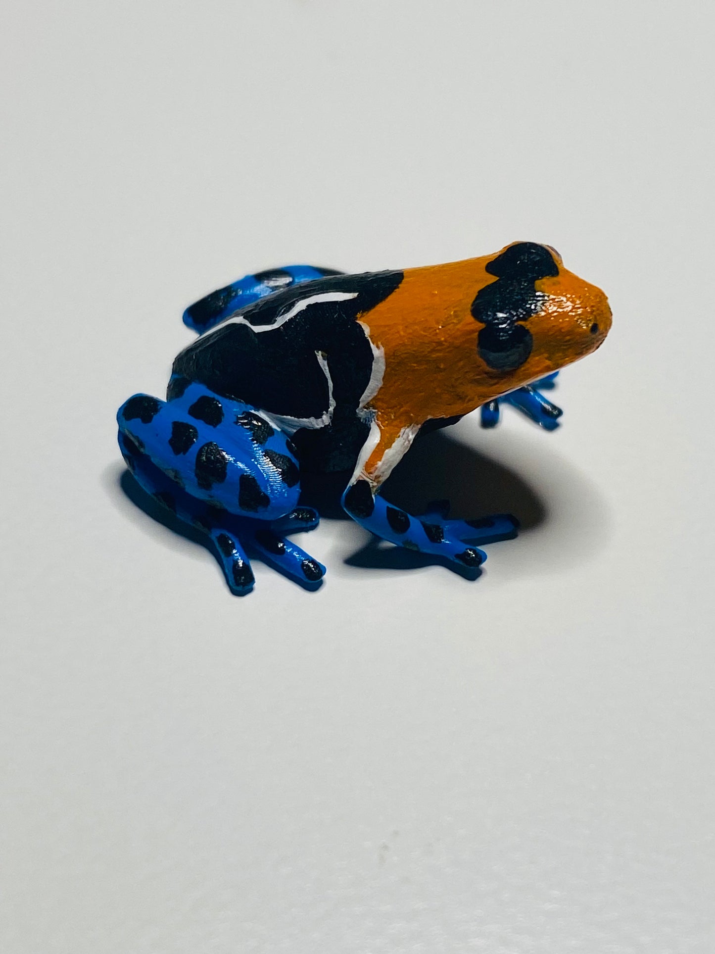 3D Printed Frog Small Ranitomeya fantastica ”Caynarachi“