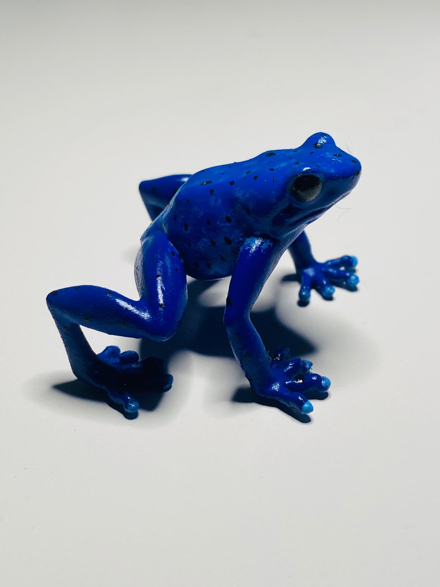 3D Printed Frog Large Dendrobates tinctorius "Azureus”