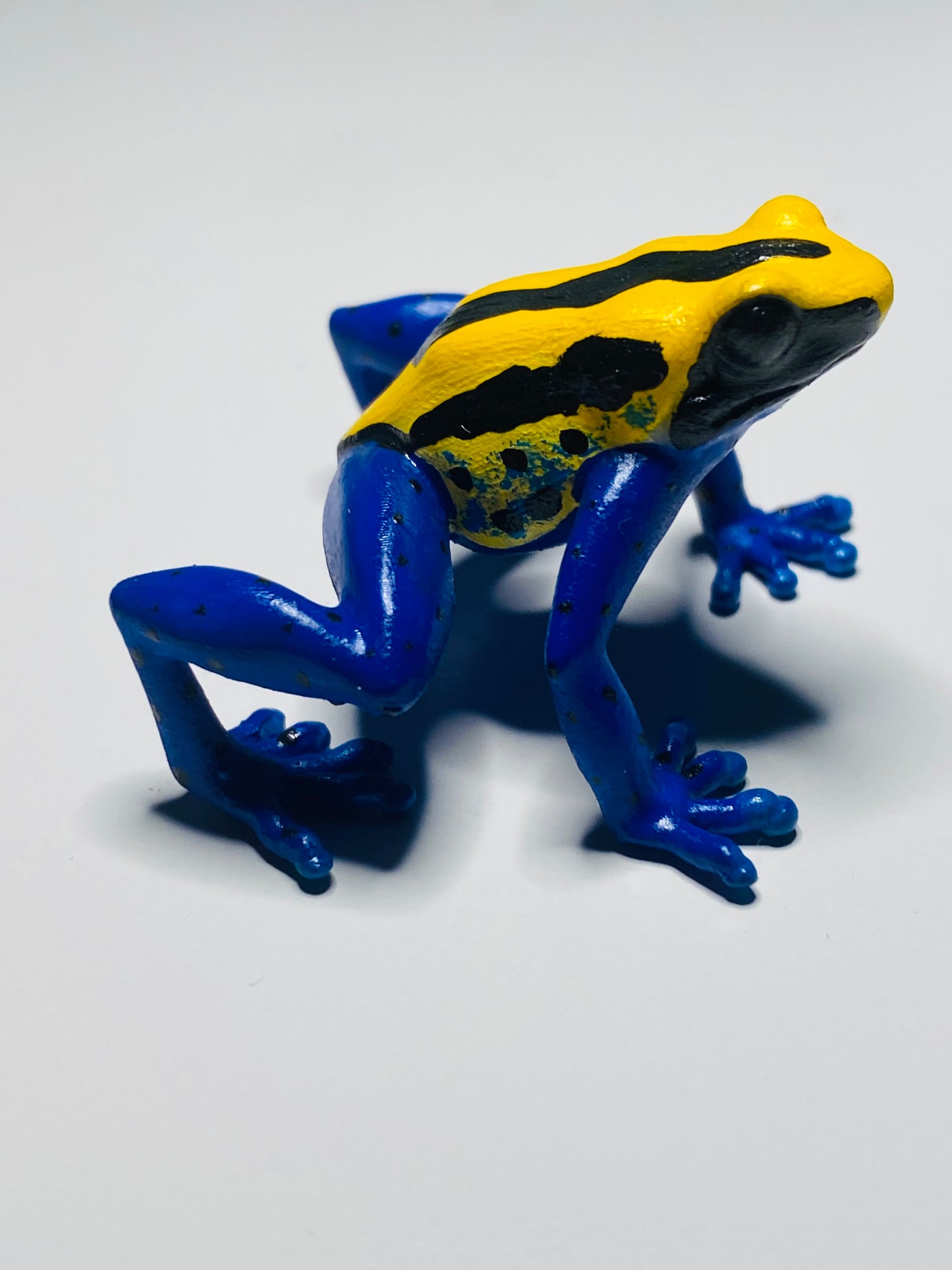 3D Printed Frog Large Dendrobates tinctorius "Brazilian Yellow Head"