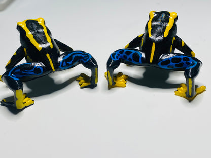 3D Printed Frog Large Dendrobates tinctorius “Alanis”
