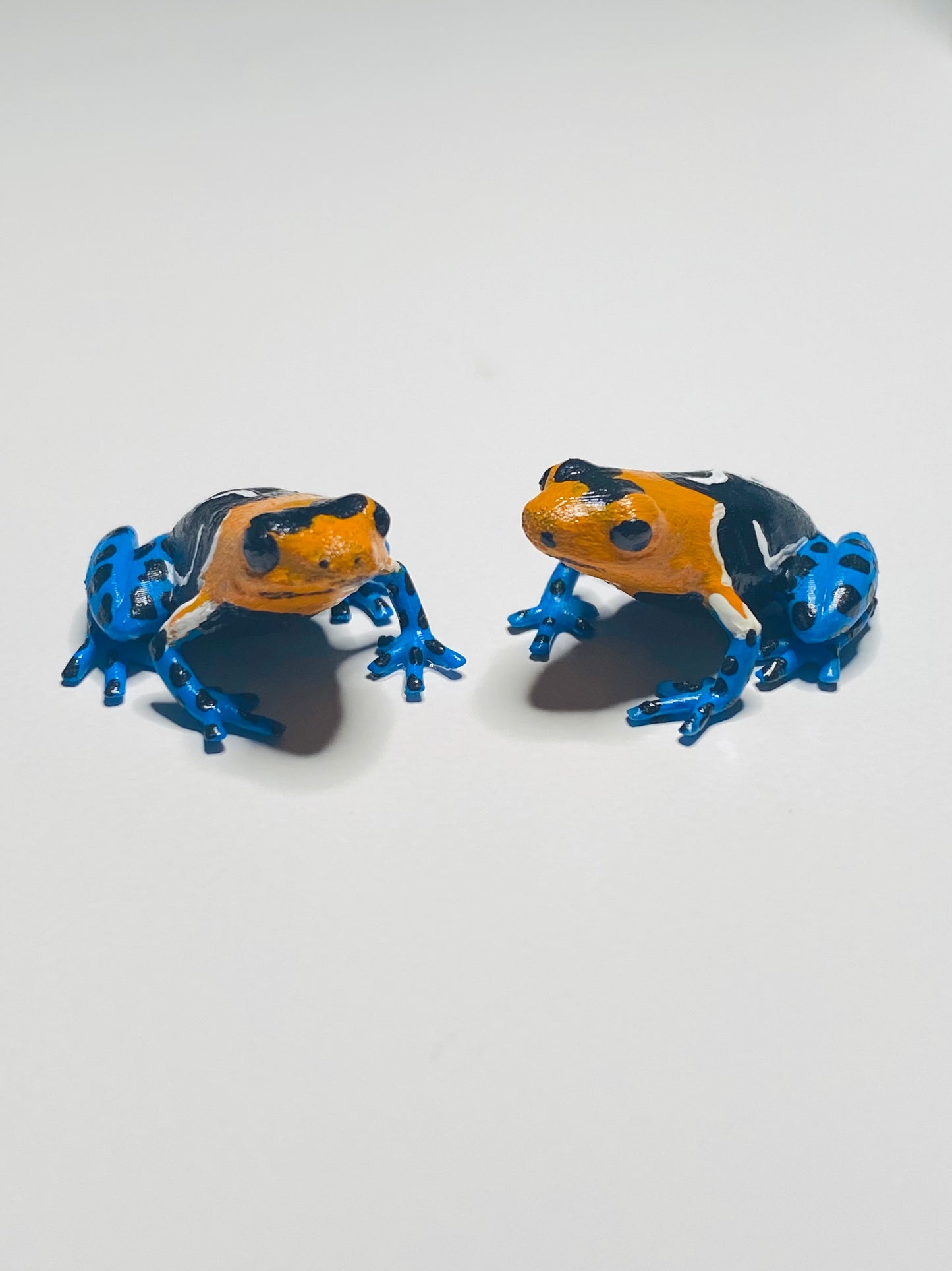 3D Printed Frog Small Ranitomeya fantastica ”Caynarachi“