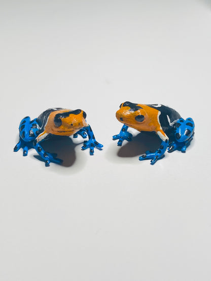 3D Printed Frog Small Ranitomeya fantastica ”Caynarachi“