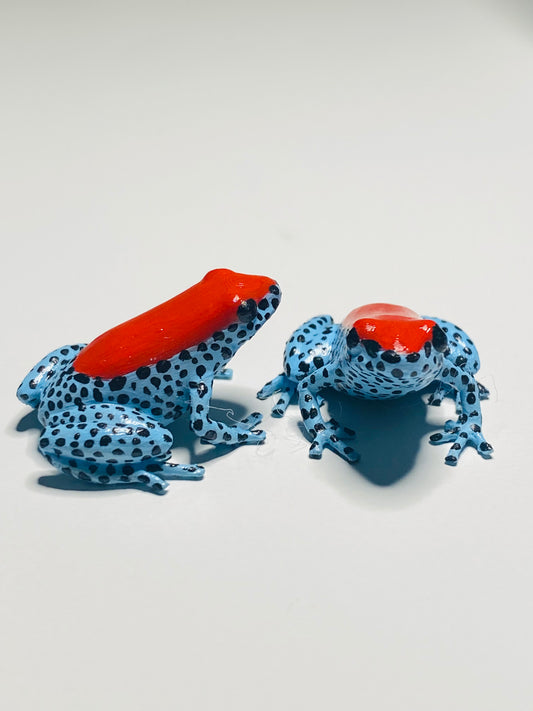 3D Printed Frog Small Ranitomeya reticulata "Red Faced"