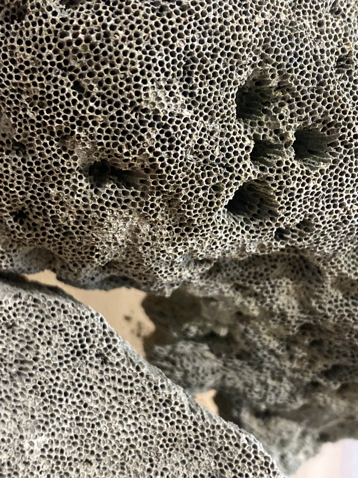 Gray Pumice Rock Hardscape
