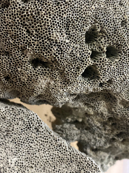 Gray Pumice Rock Hardscape