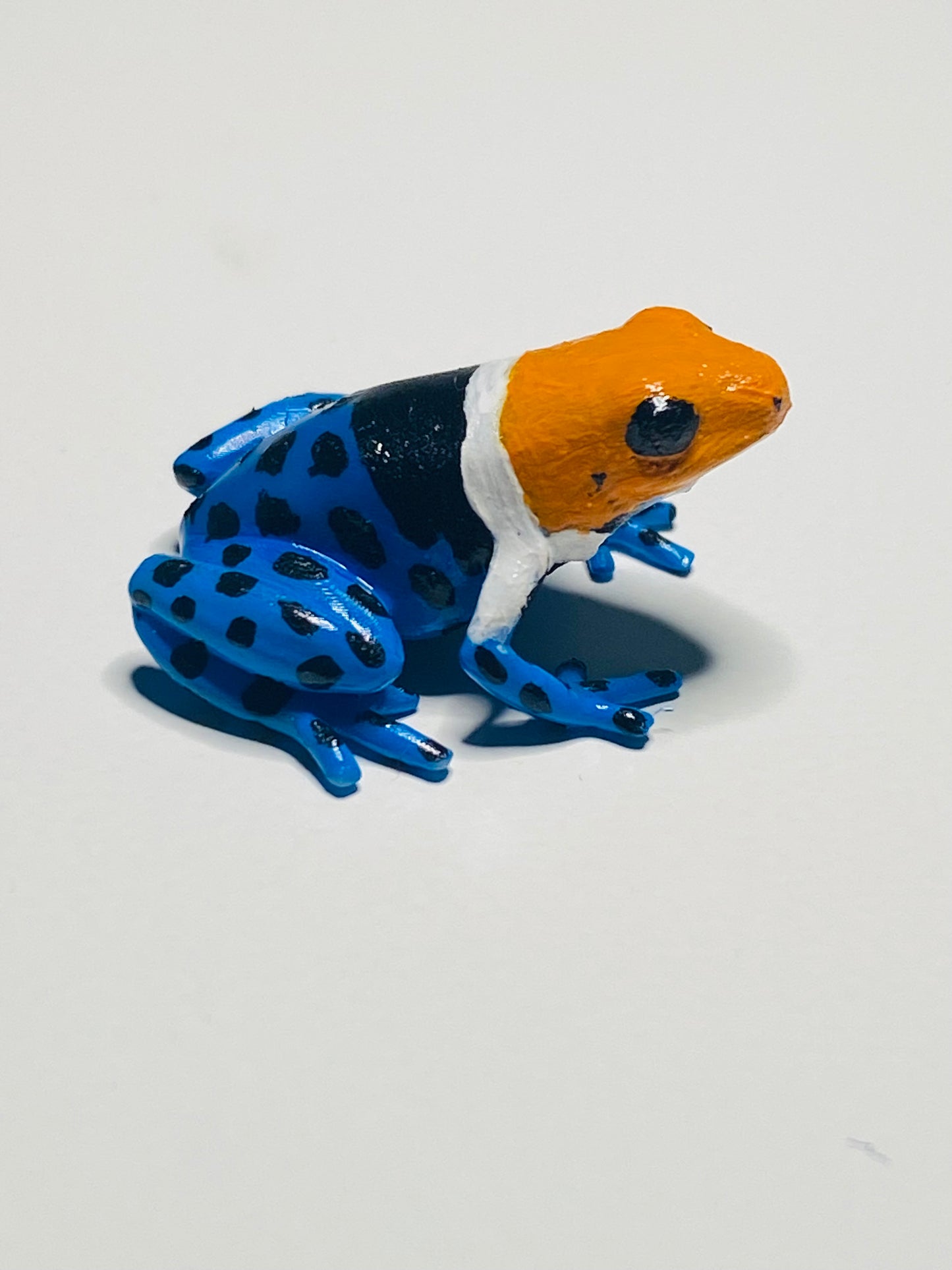 3D Printed Frog Small Ranitomeya fantastica "True Nominal"