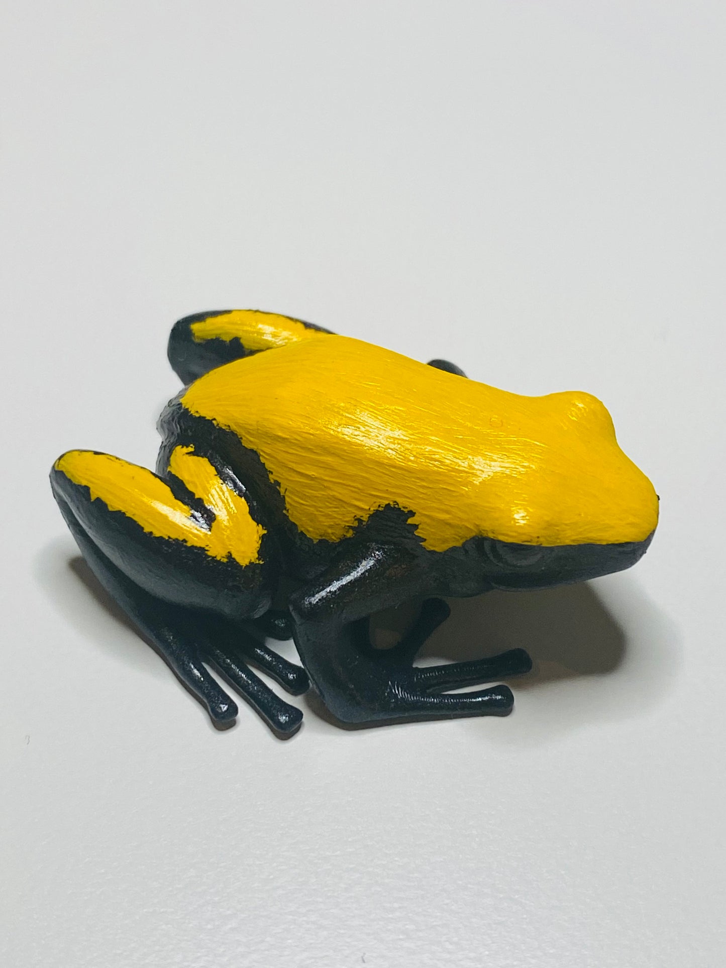 3D Printed Frog Large Adelphobates galactonotus “Yellow"
