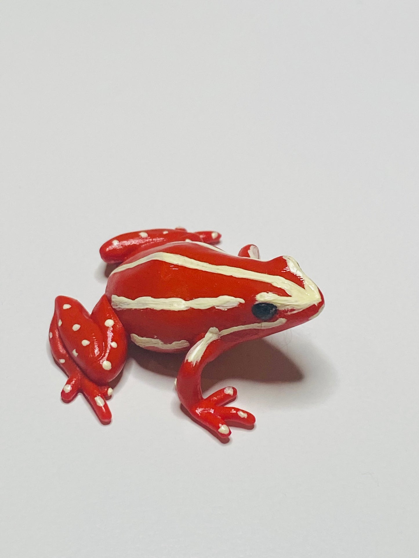 3D Printed Frog Medium Epipedobates anthonyi "Santa Isabel"
