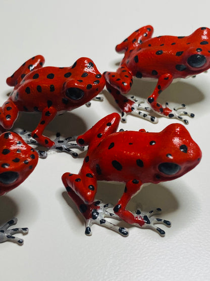 3D Printed Frog Medium Oophaga pumilio “Bastimentos” gray feet and belly