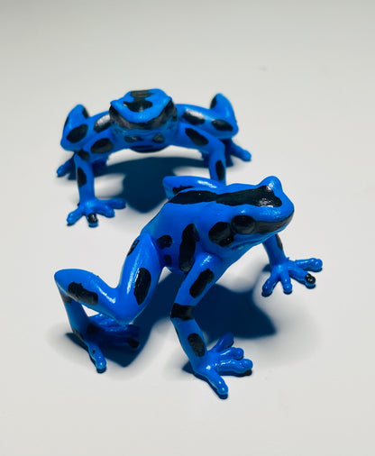 3D Printed Frog Large Dendrobates auratus 'Blue & Black'