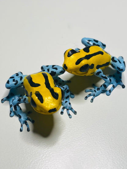 3D Printed Frog Medium Ranitomeya Sirensis