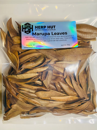Marupa Leaves