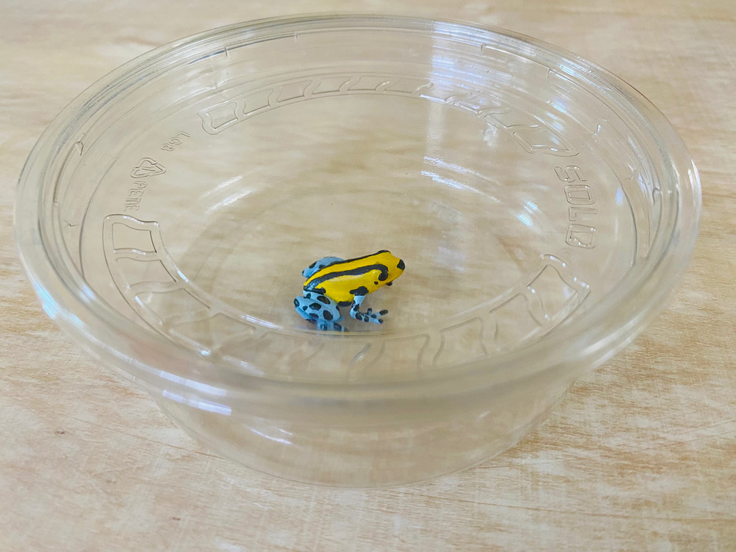 Ultra Clear Shipping cups with lids. 8oz Round