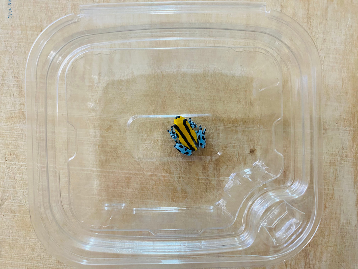 Ultra Clear Shipping cups with hinged lid . 8oz Rectangle