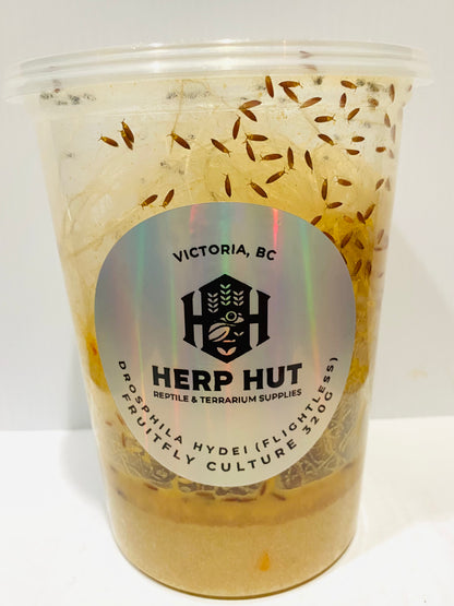 Ready Made Fruit Fly Cultures