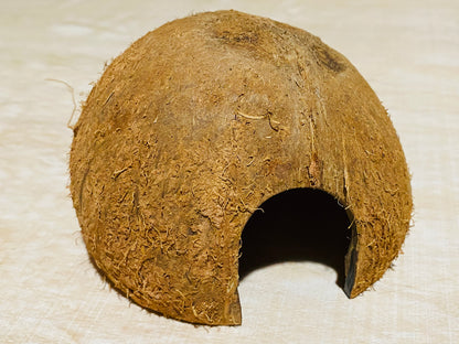 Coconut Huts