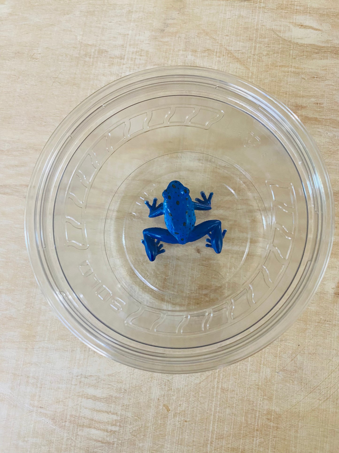 Ultra Clear Shipping cups with lids . 16oz Round
