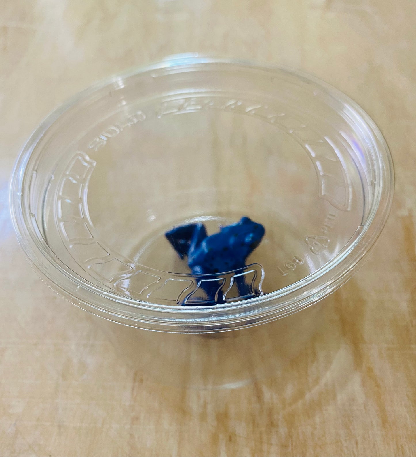 Ultra Clear Shipping cups with lids . 16oz Round