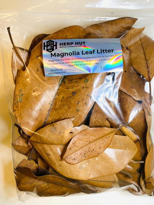 Magnolia Leaf Litter