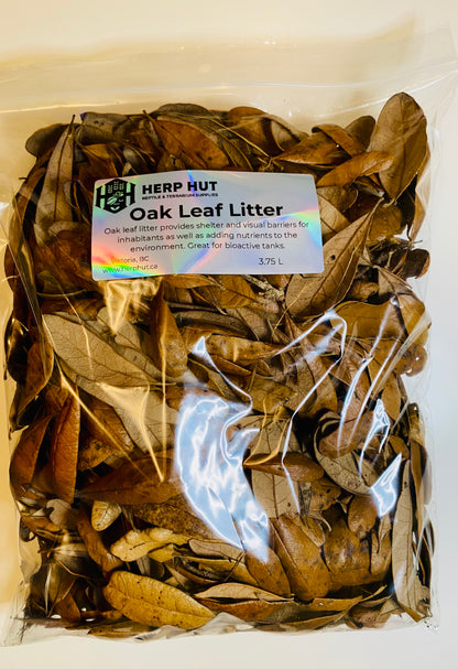Oak Leaf Litter