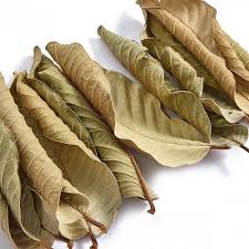 Guava Leaves