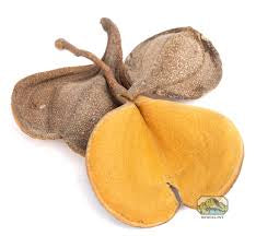 Elephants Ear, 1oz.