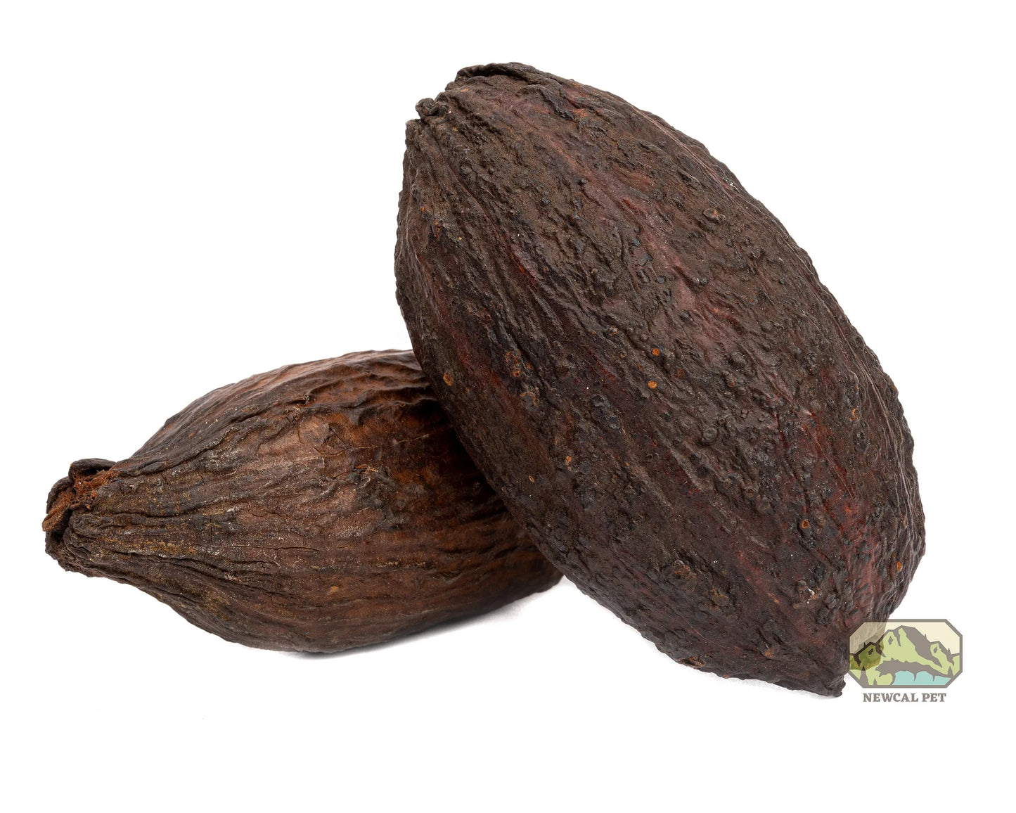 Cocoa Pod Hideout 5-7 inches