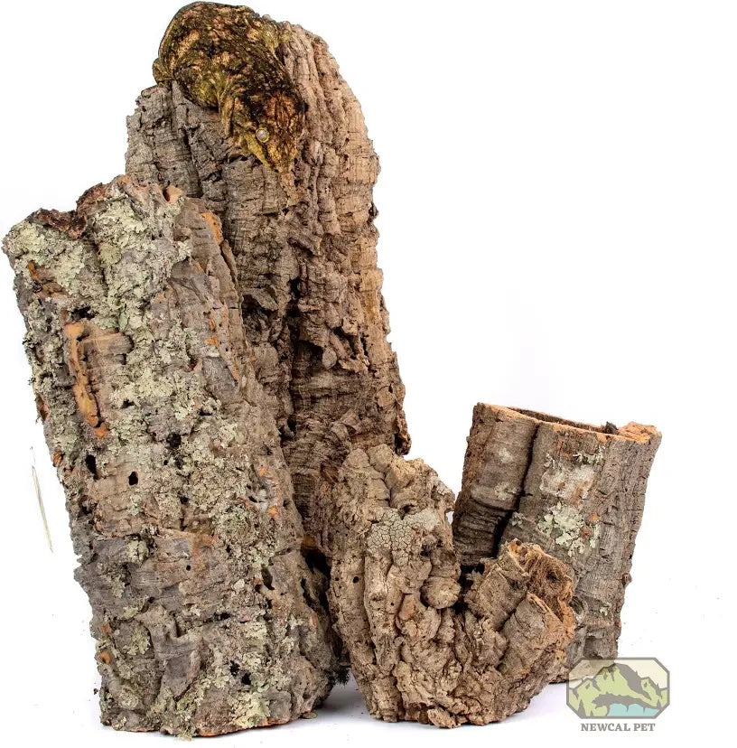 Cork Rounds