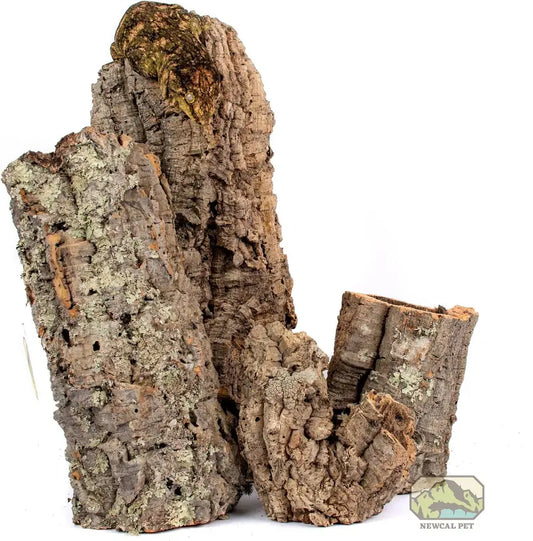 Cork Rounds