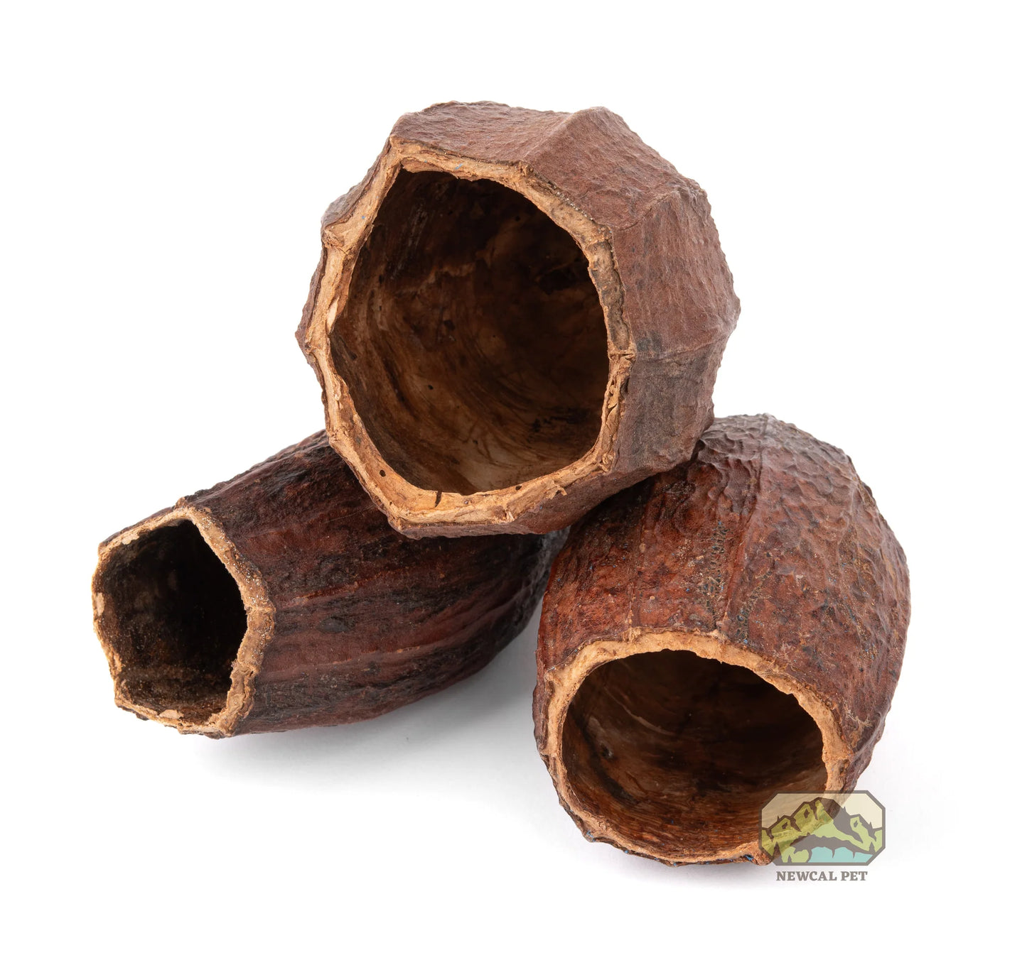 Cocoa Pod Hideout 5-7 inches
