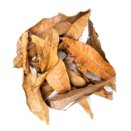 Mango Leaves